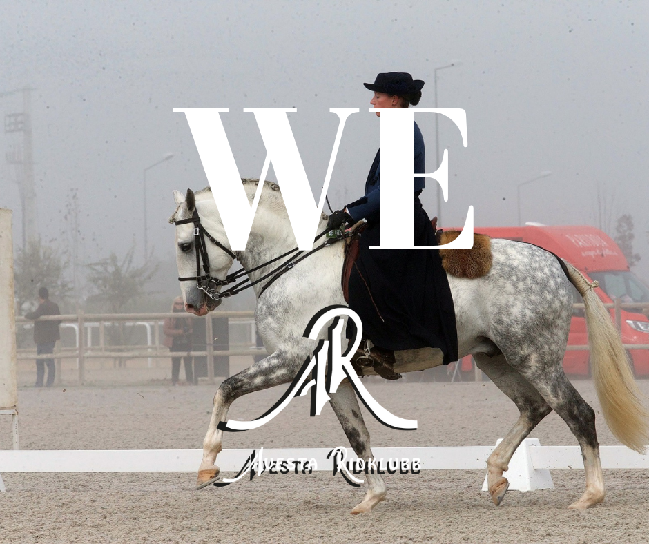 working equestrian