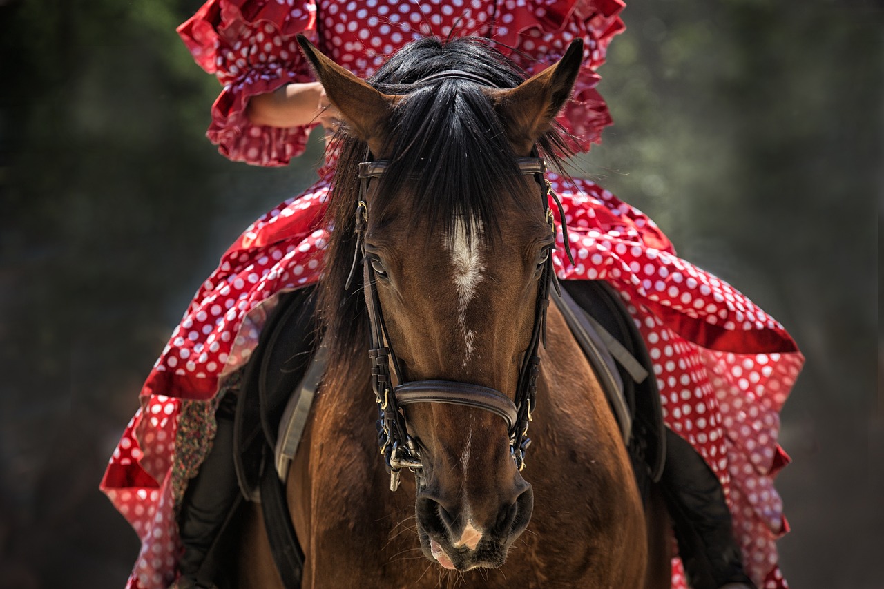 horse, horse head, horseback riding-1139142.jpg