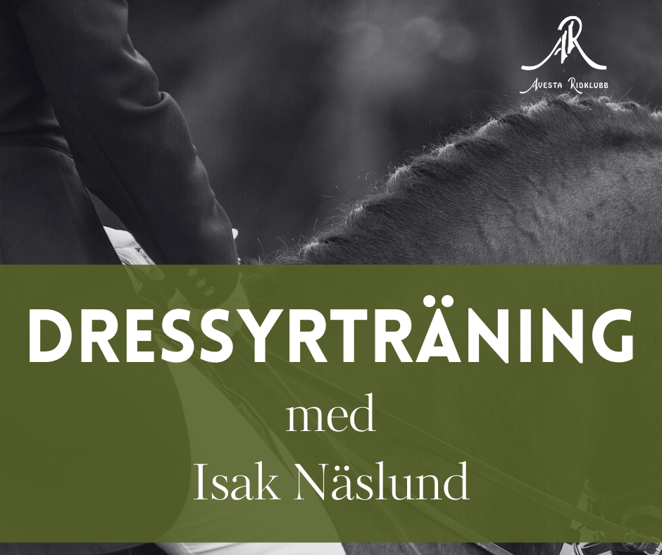 Dressyrträning med Isak Näslund